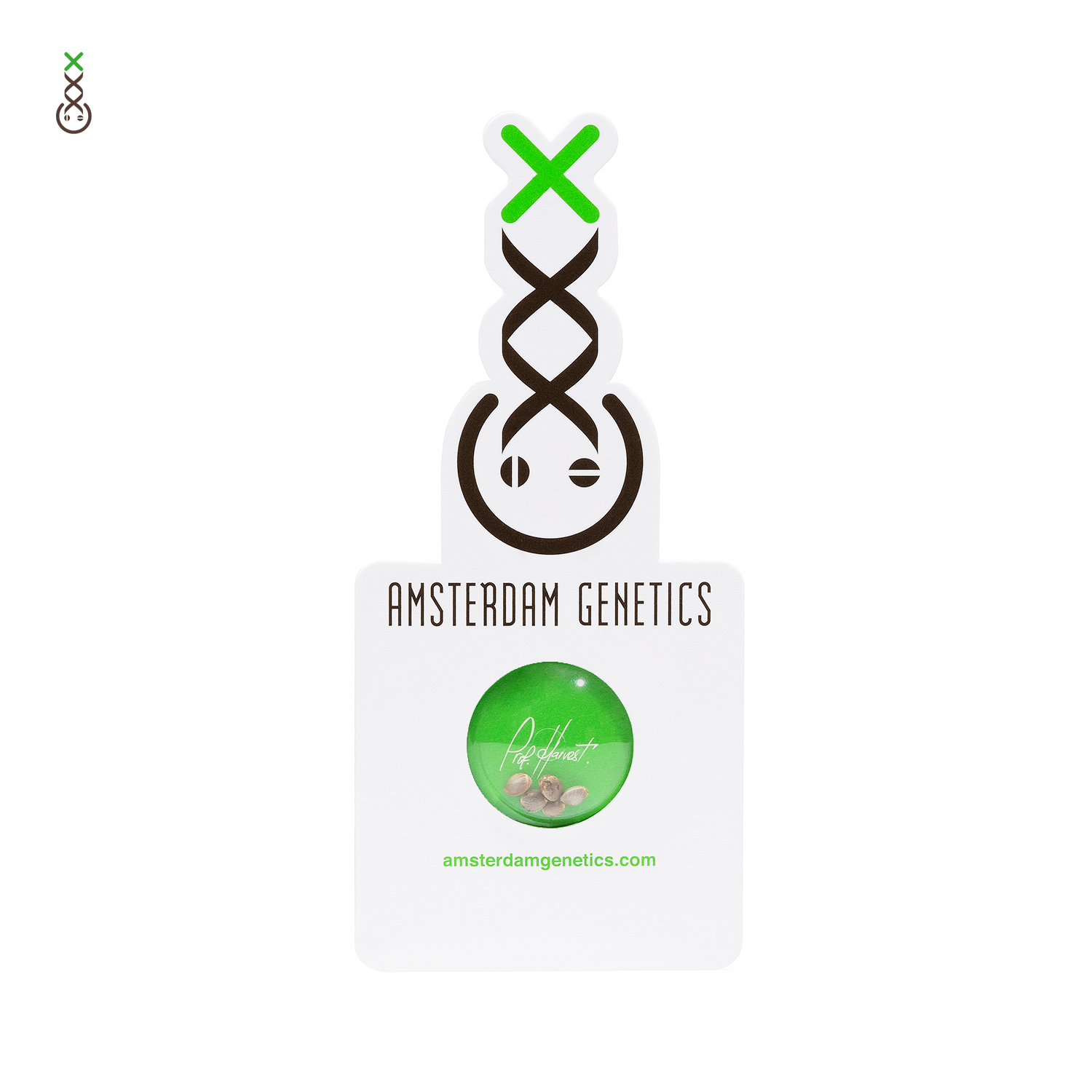 amsterdam_genetics_seed_blister_packaging-1
