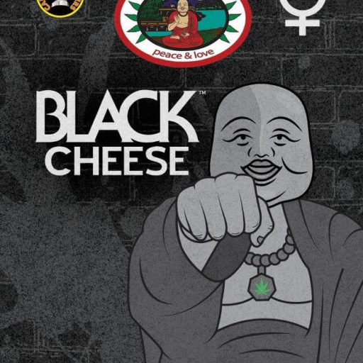 black-cheese-1