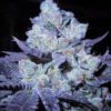 bubba-cookies-2