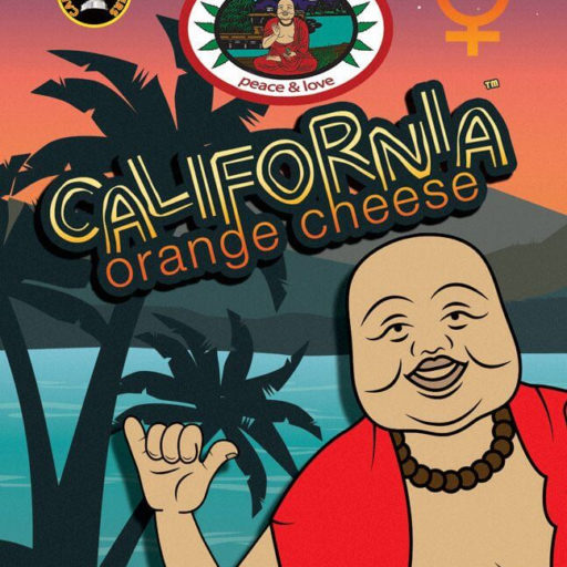 california-orange-cheese-1