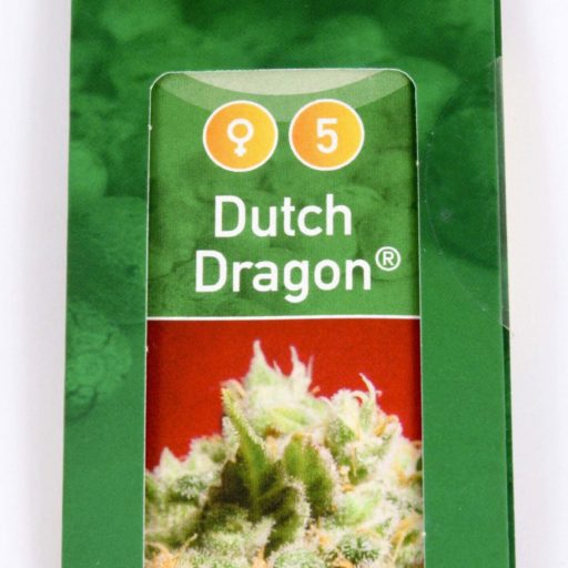 Semena marihuany Dutch Dragon Feminizovaná