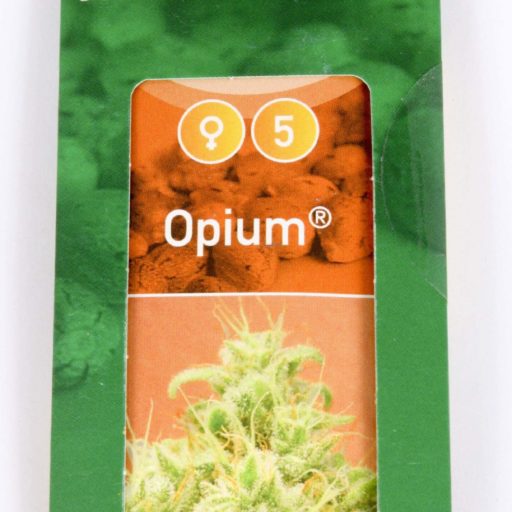 Semena marihuany Opium Feminizovaná