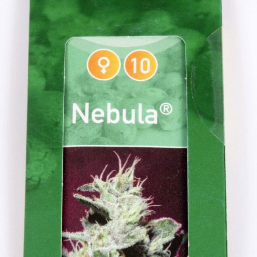Semena marihuany Nebula Feminizovaná