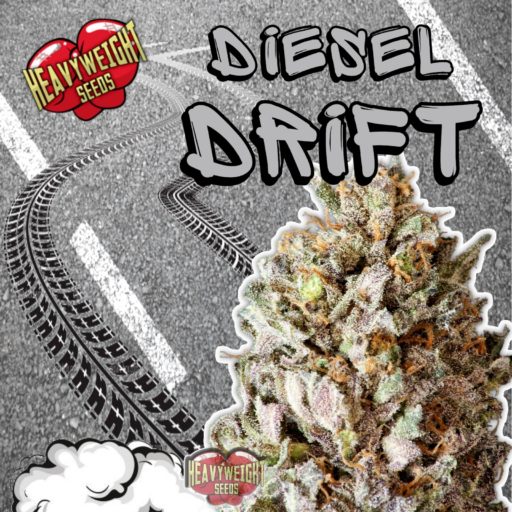 Semena marihuany Diesel Drift Feminizovaná