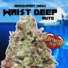 Waist Deep Auto Feminised Seeds