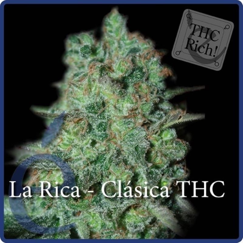 Semena marihuany La Rica Classic THC Feminizovaná