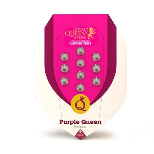 purple-queen-pack