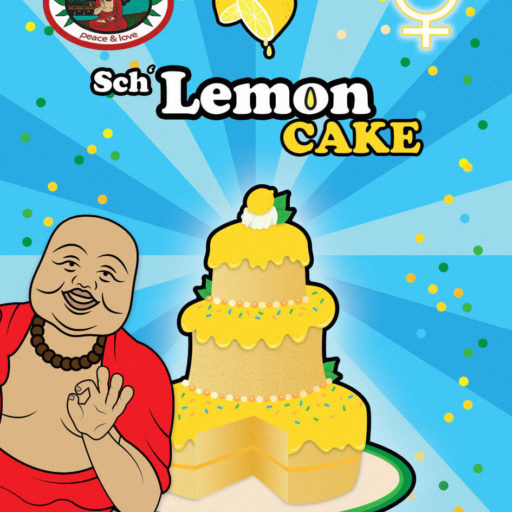 schlemon-cake-1
