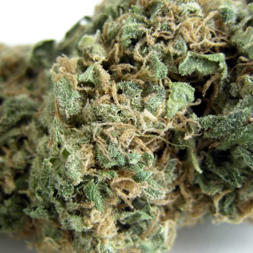 skunk2