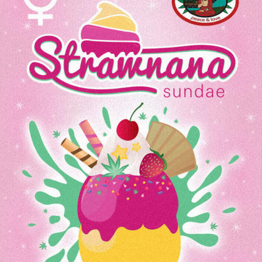 strawnana-sundae-poster