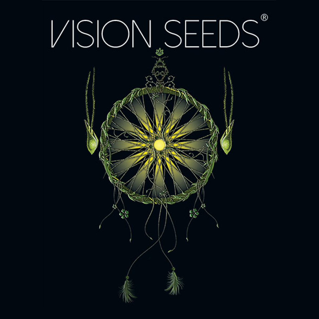 vision-seeds