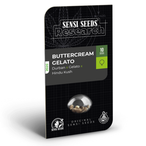 Buttercream Gelato Feminised  Seeds