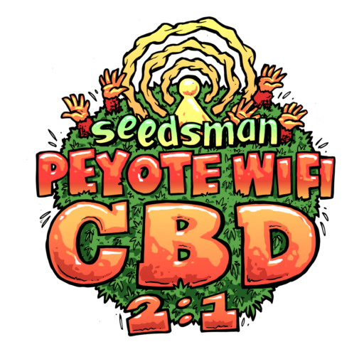 Semena marihuany Peyote Wi-Fi CBD 2:1 Feminizovaná