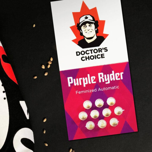 purple-ryder-seed-pack