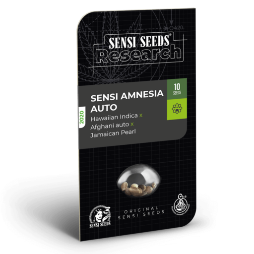 sensi-amnesia-auto