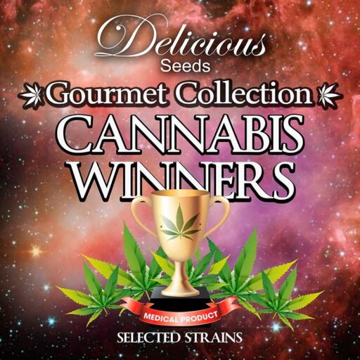Semena marihuany Cannabis Winners Mix 1