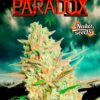 paradox-nukaseeds-nahled
