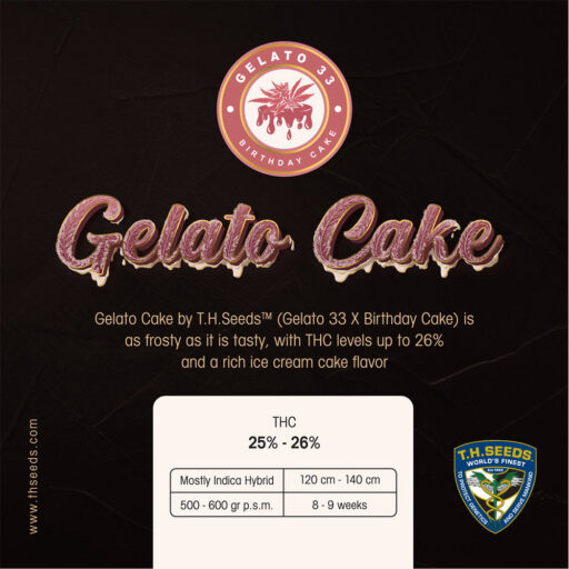 gelato-cake-2