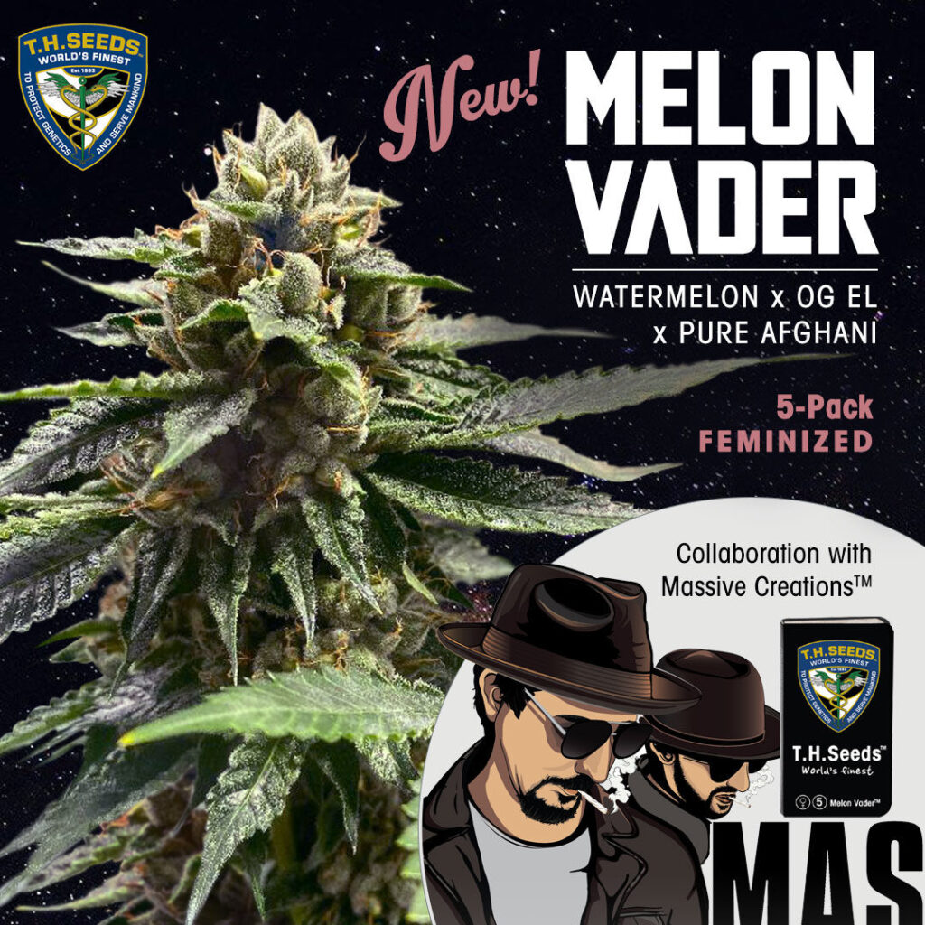 Melon Vader Feminizovaná