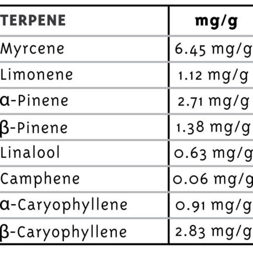 notorious-thc-terpenes_1