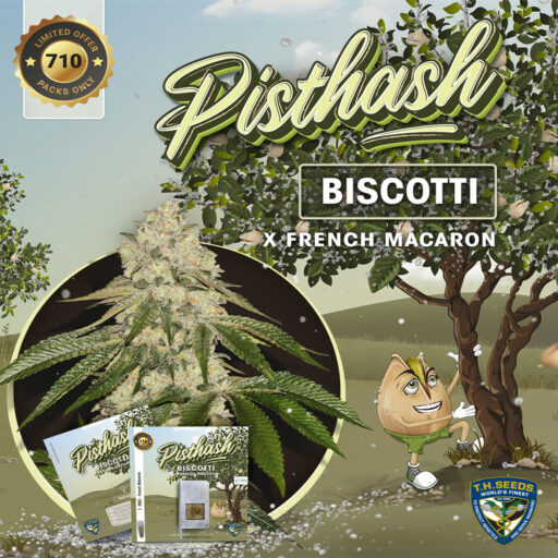 Semena marihuany Pisthash 710 Special Pack Feminizovaná 6+1 semínko zdarma
