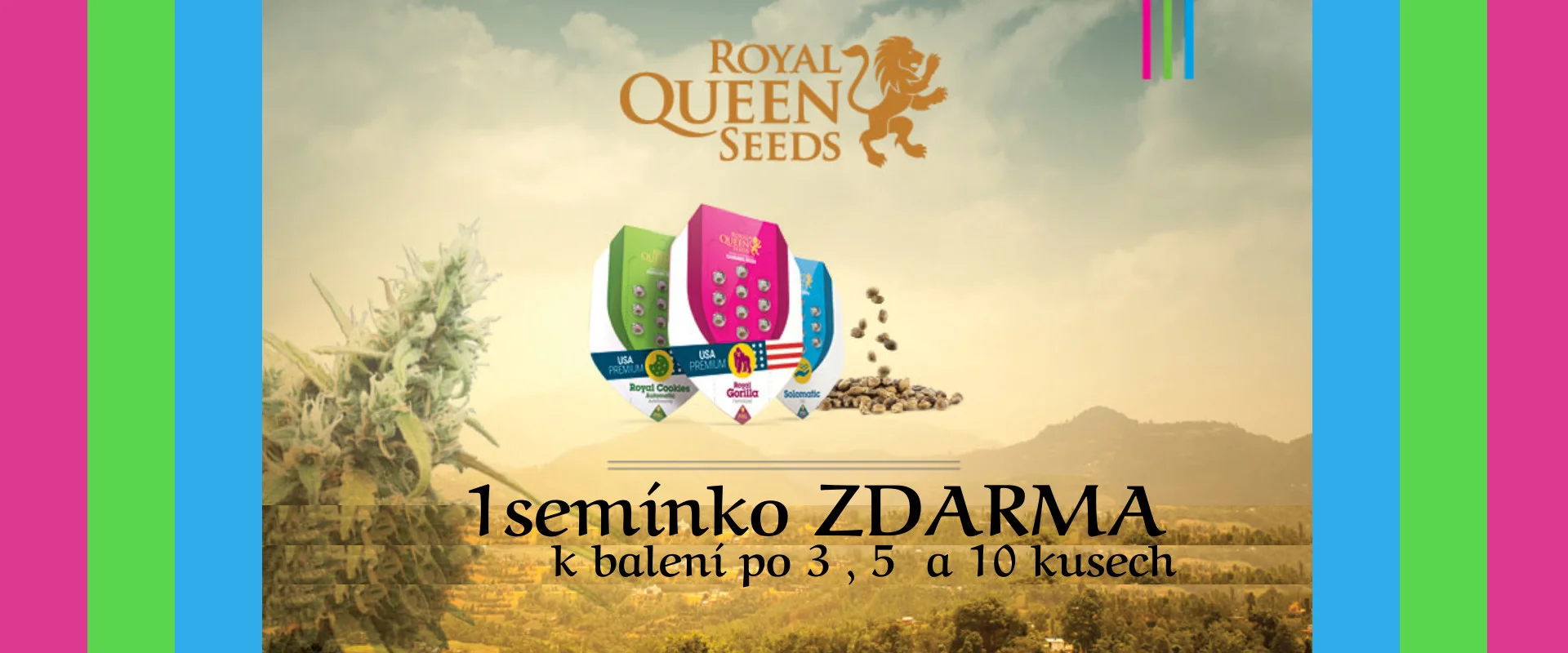 Royal Queen Seeds semena marihuany zdarma