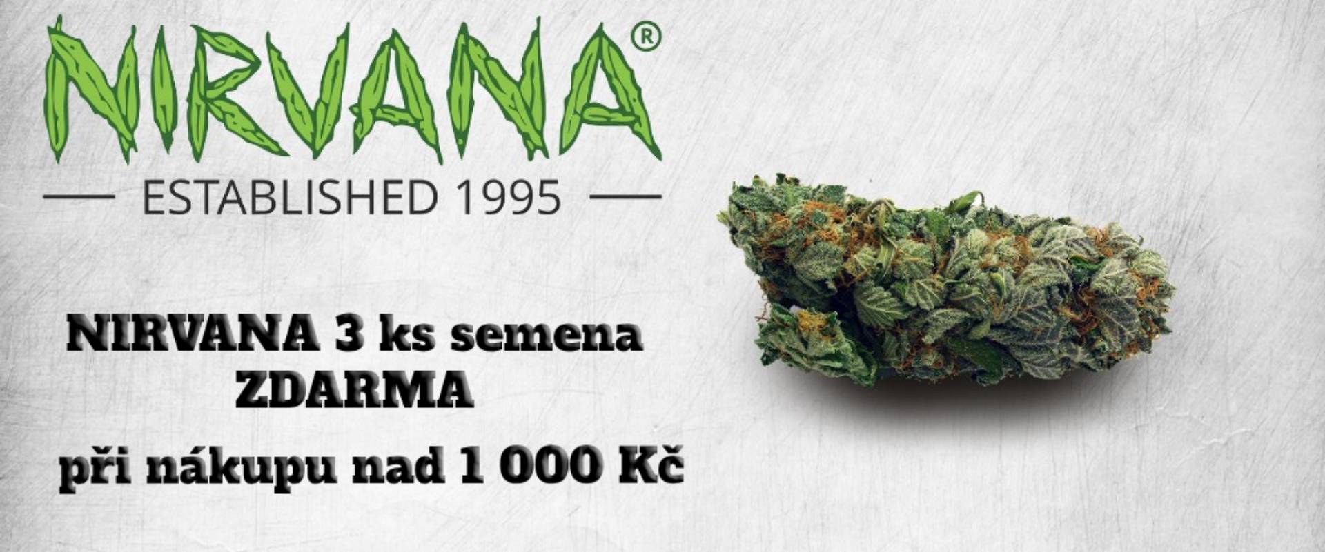 Nirvana semena zdarma