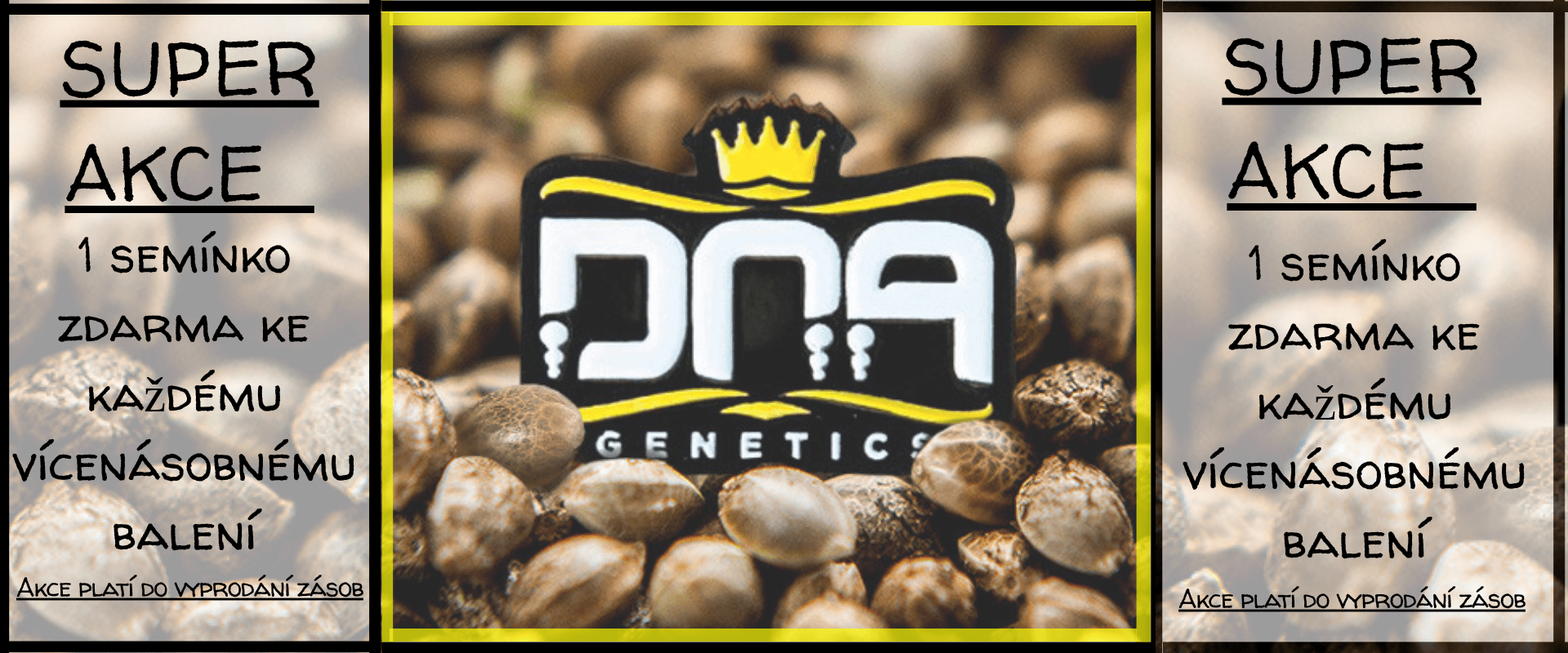 Ganjaseeds.cz | Konopná semena, semínka marihuany